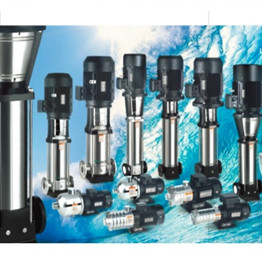 Pumps Of Chinese Brands